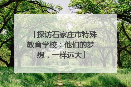 探访石家庄市特殊教育学校：他们的梦想，一样远大