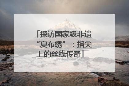 探访国家级非遗“夏布绣”：指尖上的丝线传奇