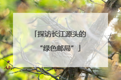 探访长江源头的“绿色邮局”