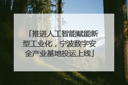 推进人工智能赋能新型工业化，宁波数字安全产业基地投运上线