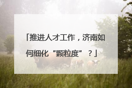 推进人才工作，济南如何细化“颗粒度”？