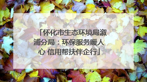 怀化市生态环境局溆浦分局：环保服务暖人心 信用帮扶伴企行