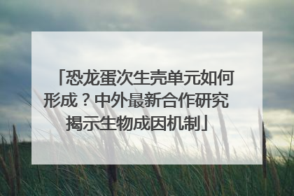 恐龙蛋次生壳单元如何形成？中外最新合作研究揭示生物成因机制