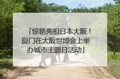 惊艳亮相日本大阪！厦门在大阪世博会上举办城市主题日活动