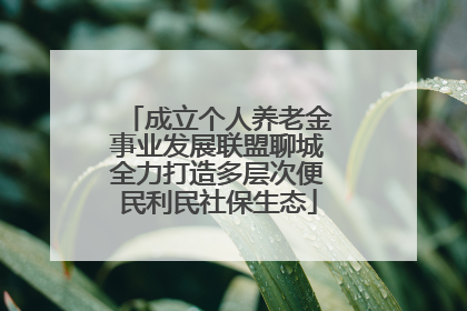 成立个人养老金事业发展联盟聊城全力打造多层次便民利民社保生态