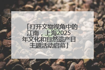 打开文物视角中的江南，上海2025年文化和自然遗产日主题活动启幕