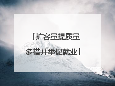 扩容量提质量 多措并举促就业