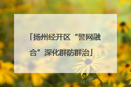 扬州经开区“警网融合”深化群防群治