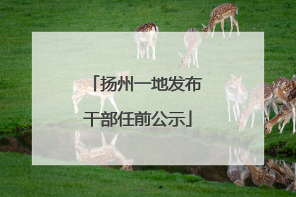 扬州一地发布干部任前公示