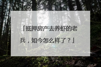 抵押房产去养虾的老兵，如今怎么样了？
