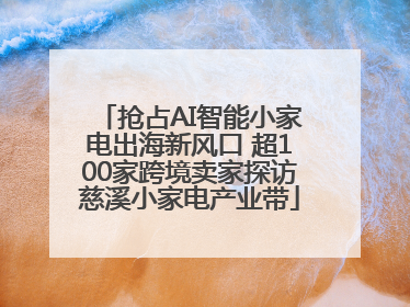 抢占AI智能小家电出海新风口 超100家跨境卖家探访慈溪小家电产业带