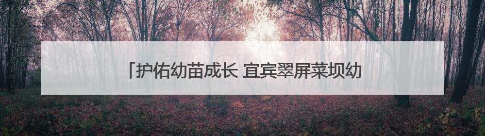 护佑幼苗成长 宜宾翠屏菜坝幼儿园多举措筑牢校园安全防线