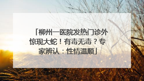 柳州一医院发热门诊外惊现大蛇！有毒无毒？专家辨认：性情温顺