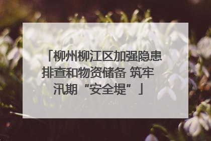 柳州柳江区加强隐患排查和物资储备 筑牢汛期“安全堤”