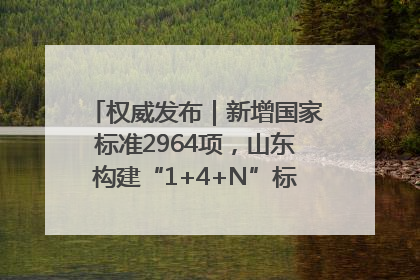 权威发布｜新增国家标准2964项，山东构建“1+4+N”标准化创新发展新格局