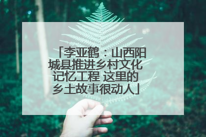 李亚鹤：山西阳城县推进乡村文化记忆工程 这里的乡土故事很动人