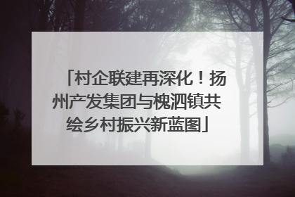 村企联建再深化！扬州产发集团与槐泗镇共绘乡村振兴新蓝图