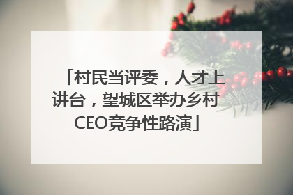 村民当评委，人才上讲台，望城区举办乡村CEO竞争性路演