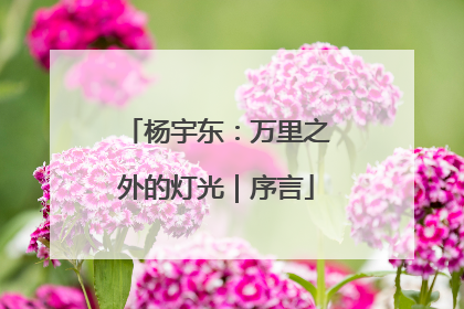 杨宇东：万里之外的灯光｜序言