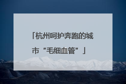 杭州呵护奔跑的城市“毛细血管”