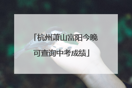 杭州萧山富阳今晚可查询中考成绩