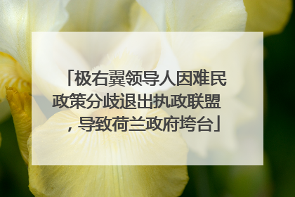 极右翼领导人因难民政策分歧退出执政联盟，导致荷兰政府垮台