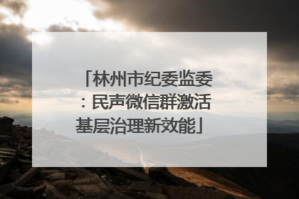 林州市纪委监委：民声微信群激活基层治理新效能