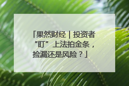 果然财经｜投资者“盯”上法拍金条，捡漏还是风险？
