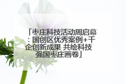 枣庄科技活动周启幕：国创区优秀案例+千企创新成果 共绘科技强国枣庄画卷