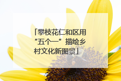攀枝花仁和区用“五个一”描绘乡村文化新图景