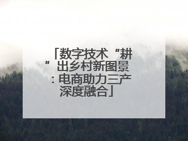 数字技术“耕”出乡村新图景：电商助力三产深度融合