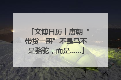 文博日历丨唐朝“带货一哥”不是马不是骆驼，而是……