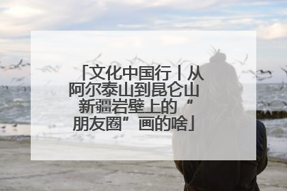 文化中国行丨从阿尔泰山到昆仑山 新疆岩壁上的“朋友圈”画的啥