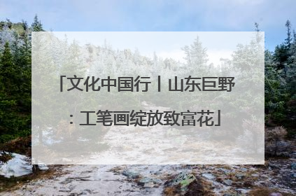 文化中国行丨山东巨野：工笔画绽放致富花