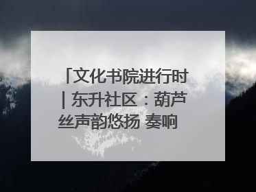 文化书院进行时｜东升社区：葫芦丝声韵悠扬 奏响文化和谐曲
