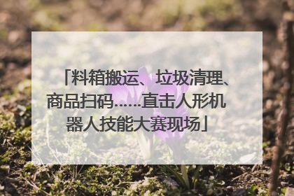 料箱搬运、垃圾清理、商品扫码……直击人形机器人技能大赛现场