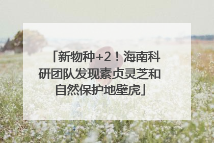 新物种+2！海南科研团队发现素贞灵芝和自然保护地壁虎