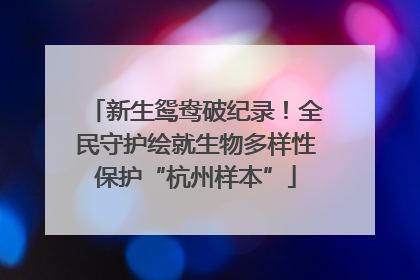 新生鸳鸯破纪录！全民守护绘就生物多样性保护“杭州样本”