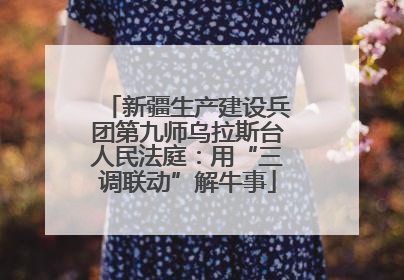 新疆生产建设兵团第九师乌拉斯台人民法庭：用“三调联动”解牛事