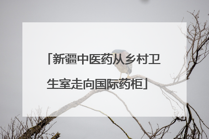 新疆中医药从乡村卫生室走向国际药柜