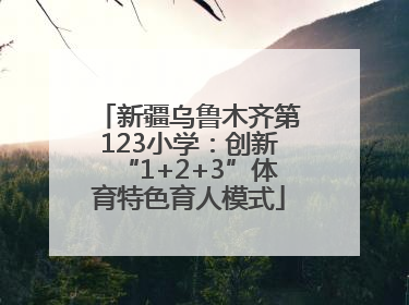 新疆乌鲁木齐第123小学：创新“1+2+3”体育特色育人模式
