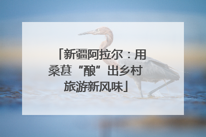 新疆阿拉尔：用桑葚“酿”出乡村旅游新风味