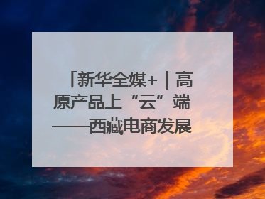新华全媒+｜高原产品上“云”端——西藏电商发展一线观察