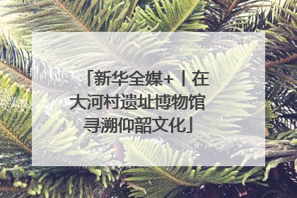 新华全媒+丨在大河村遗址博物馆寻溯仰韶文化