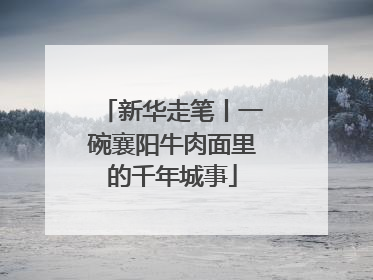 新华走笔丨一碗襄阳牛肉面里的千年城事