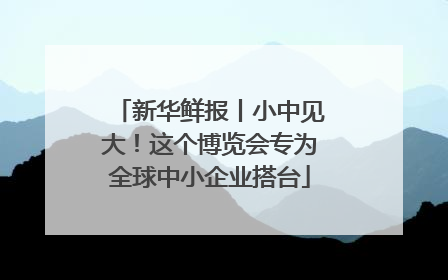 新华鲜报丨小中见大！这个博览会专为全球中小企业搭台