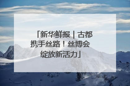 新华鲜报｜古都携手丝路！丝博会绽放新活力