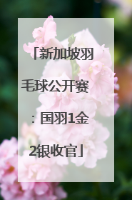 新加坡羽毛球公开赛：国羽1金2银收官
