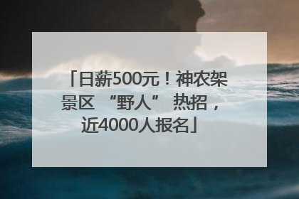 日薪500元！神农架景区 “野人” 热招，近4000人报名