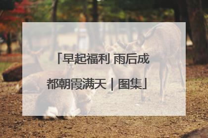 早起福利 雨后成都朝霞满天｜图集